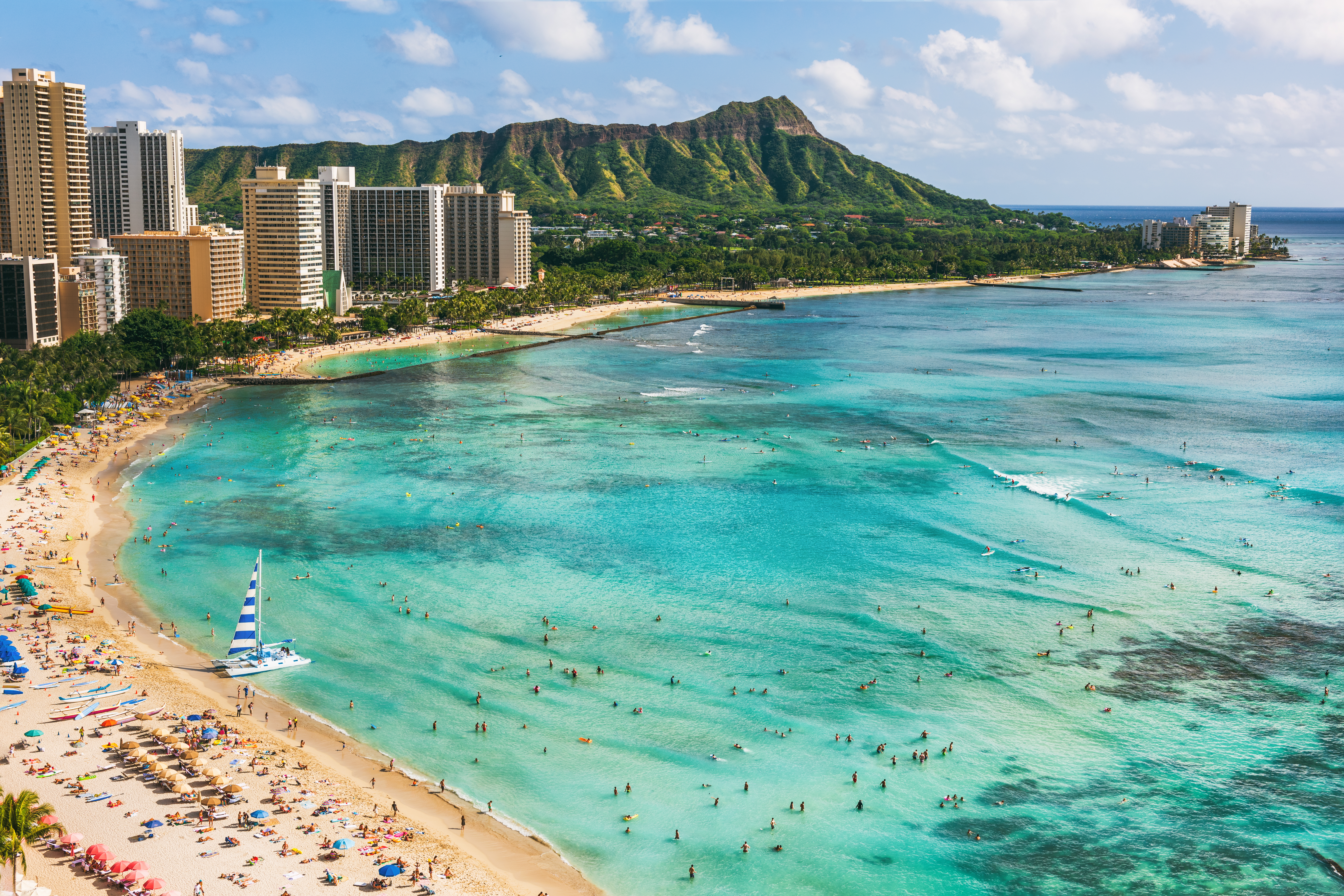 Honolulu cruise ship with palm-lined shoreline